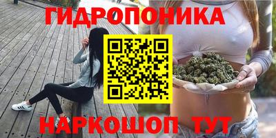 спайс Будённовск