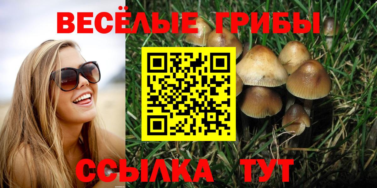 Псилоцибиновые грибы Cubensis  Вход с VPN  Краснодар 